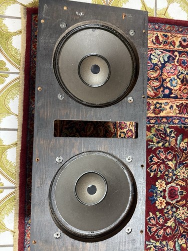 Coppia woofer altoparlanti