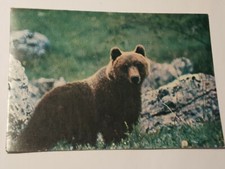 Postcard Fauna of the National