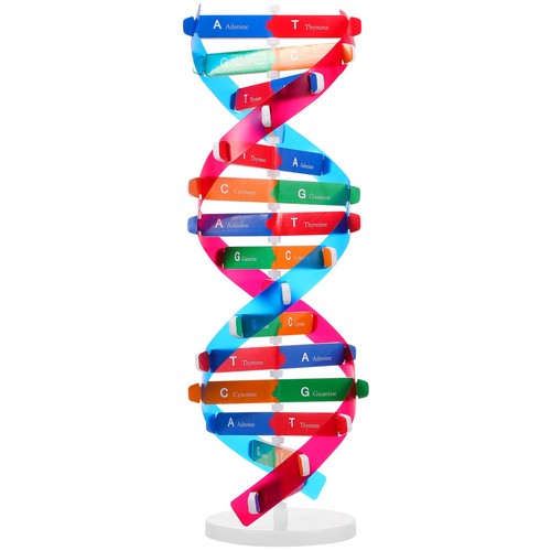 Kit scienza bambù doppia - scienza,