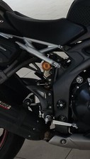 Paratacchi in carbonio Triumph Speed Triple RS