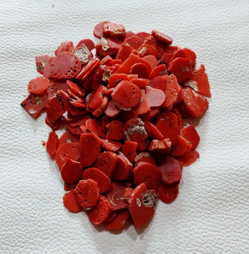 100 corallo rosso naturale - corallo,