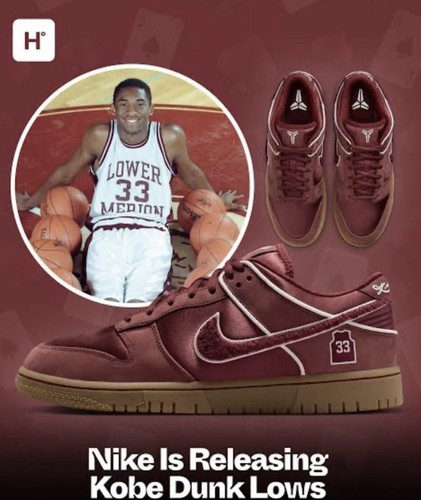 Kobe nike dark low protro - nike,