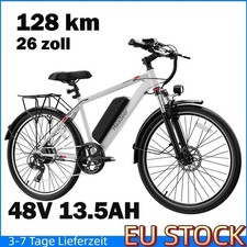 Biciclette elettriche 26”