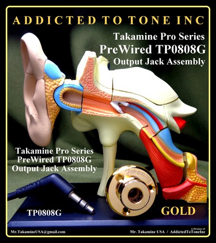 Takamine pro series - takamine, gruppo