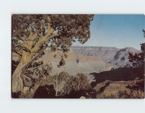 Cartolina grand canyon - cartolina,