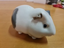 Royal copenhagen Porcellino D'India 4652 Rara