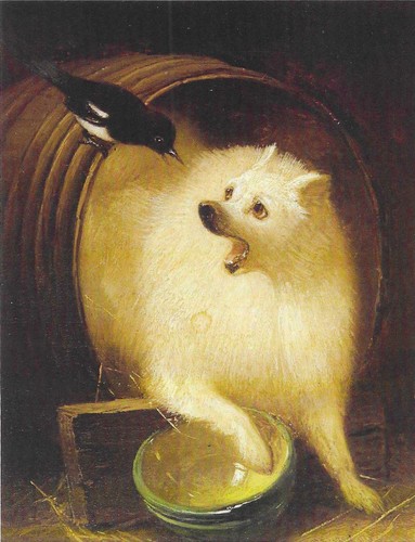 Nuova cartolina cani museo - nuova,