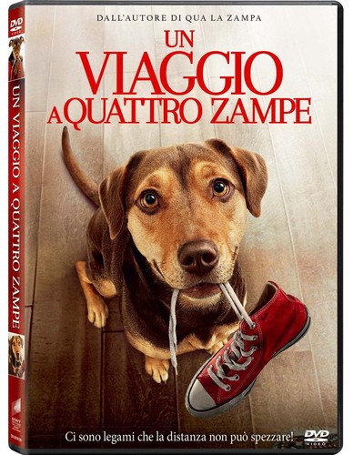 Dvd viaggio quattro zampe - viaggio,