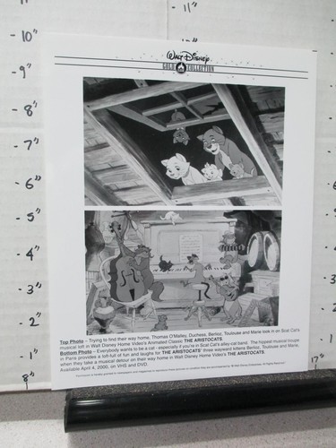 Foto film 2000 - tv, aristocats