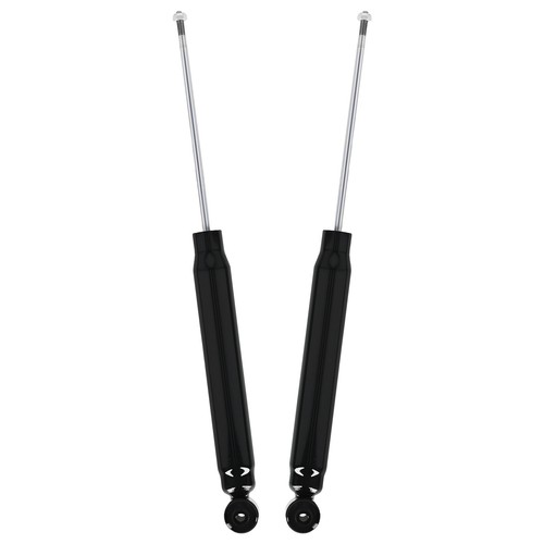 Ammortizzatore posteriore - 2x,
