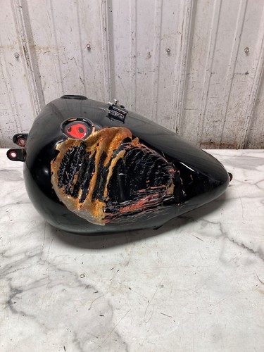 Harley davidson flsb - harley,