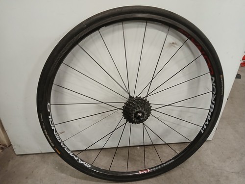 Ruote carbonio bici corsa - ruote, da