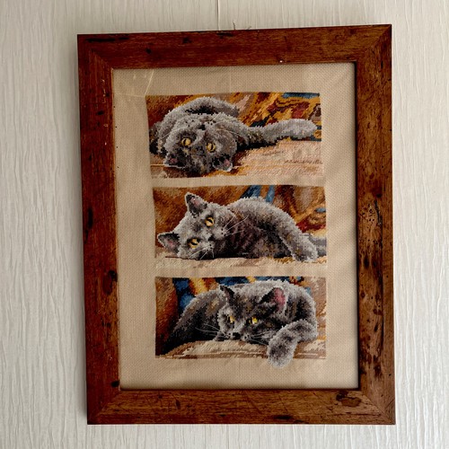 Quadro gatto punto - quadro,