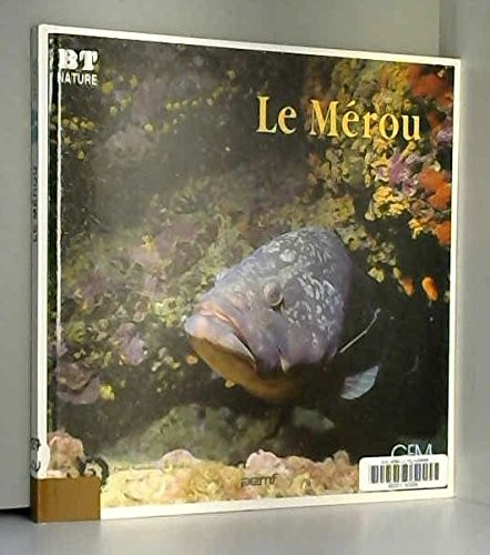 Mérou - le,