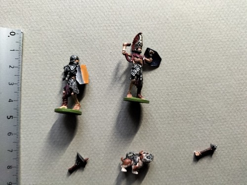 Skeleton puppy miniature - 2,