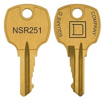 NSR251 keys (2 keys)