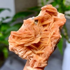 Grappolo di Mica 80G Naturale Bellissimo con Cristallo di Quarzo Esemplare Minerale