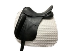 County Perfection Dressage