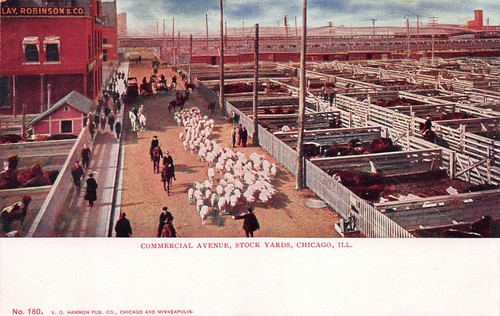 Commercial ave stock - stock, yards