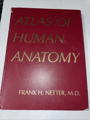 Atlas human anatomy book - atlas, by