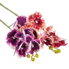  2 Pcs Piante Terrario Rettili