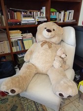 ORSO GIGANTE PELUCHE + ORSACCHIOTTO PICCOLINO - by Max & Sax