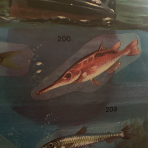 Figurina 200 mondo degli - figurina,