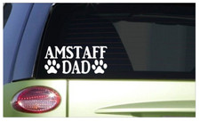  Adesivo Amstaff Dad *H773* 8