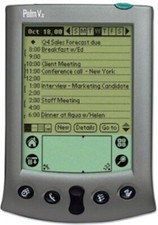 Vintage palm palmare palmos - palm, vx
