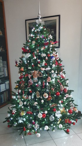 Albero natale della - di,
