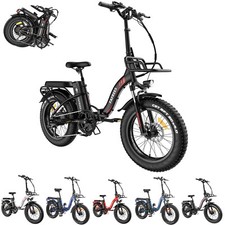 FAFREES F20 MAX bicicletta