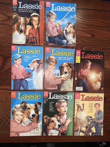 Vedette della lassie - tv,