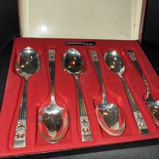SET IN SCATOLA 6 CUCCHIAINI DA