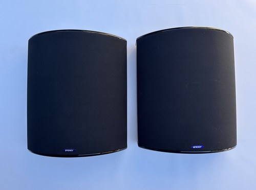 Coppia diffusori surround