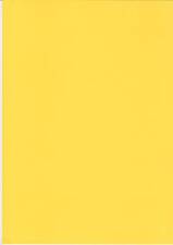 25 FOGLI A4 GIRASOLE GIALLO