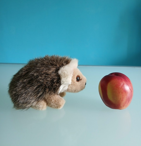 Trudi peluche riccio - "trudi",