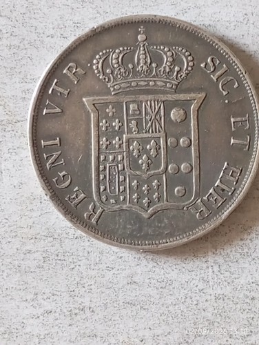 Piastra 120 grana ferdinando - 120,