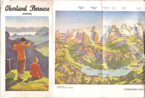 Oberland bernois suisse - bernois,