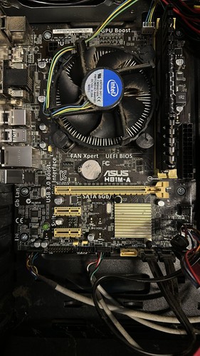 Asus hb1m scheda madre - scheda,
