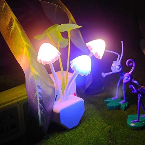 Luce notturna led funghi - notturna, 3