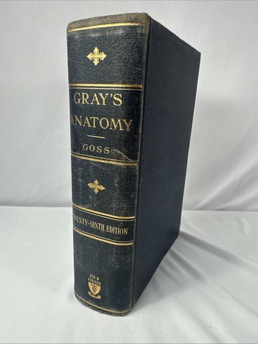 Gray anatomy of - anatomy, the