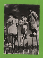Pâtres juchés loro - su,