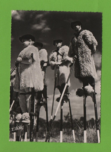 Pâtres juchés loro - juchés,