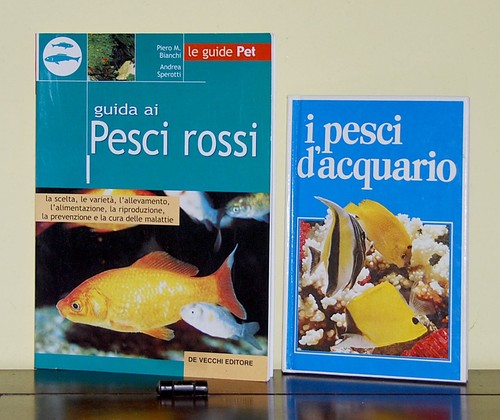 Pesci acquario guida - i, +