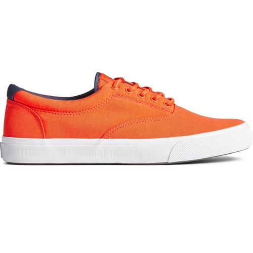 Sneakers sperry striper cvo - sneakers,