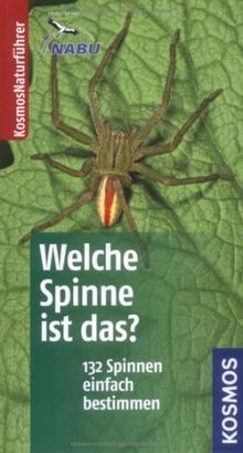 Welche spinne ist das - spinne, kosmos