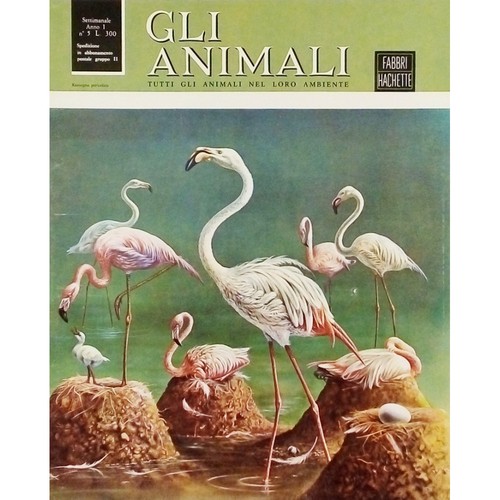 Enciclopedia gli animali - enciclopedia,