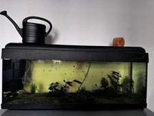 acquario completo usato da 90 litri compreso di tutti gli oggetti e accessori