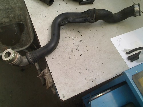 Manicotto intercooler - manicotto,