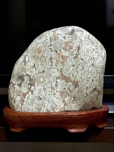 Suiseki pietra bonseki - pietra, veduta